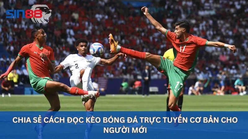 Soi Kèo Bóng Đá Trực Tuyến Uy Tín Nhất Tại Nhà Cái Sin88 15 Chia sẻ cách đọc kèo bóng đá trực tuyến cơ bản cho người mới