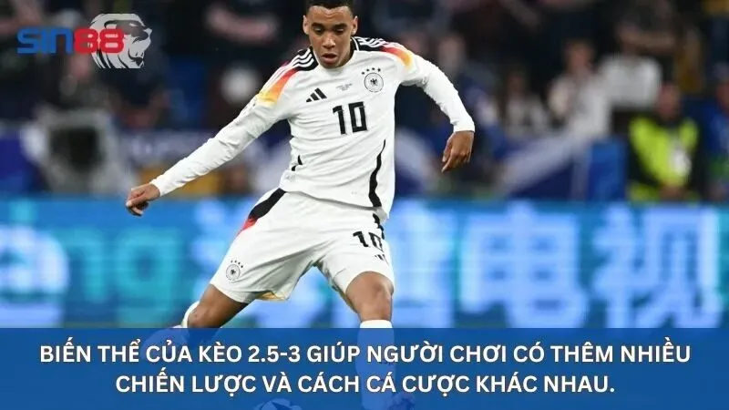 Kèo 2.5-3 Là Gì? Hướng Dẫn Toàn Tập Về Kèo Tài Xỉu 2.5-3 2 Biến thể kèo 2.5 3