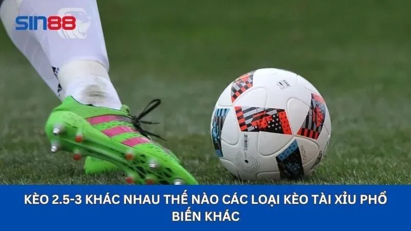 Kèo 2.5-3 Là Gì? Hướng Dẫn Toàn Tập Về Kèo Tài Xỉu 2.5-3 3 Kèo 2.5-3 khác nhau thế nào các loại kèo Tài Xỉu phổ biến khác