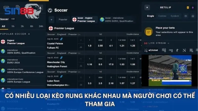 Kèo Rung Là Gì? Cách Đánh Kèo Rung Ngay Trong Trận Đấu 3 Các loại kèo rung phổ biến